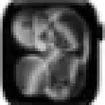 Apple Watch Series 11 Smartwatch, Up To 18 Hours Battery Life With Fast Charging Support, 42mm Or 46mm Always-On Retina OLED Display, S11 SiP Processor With Enhanced Performance